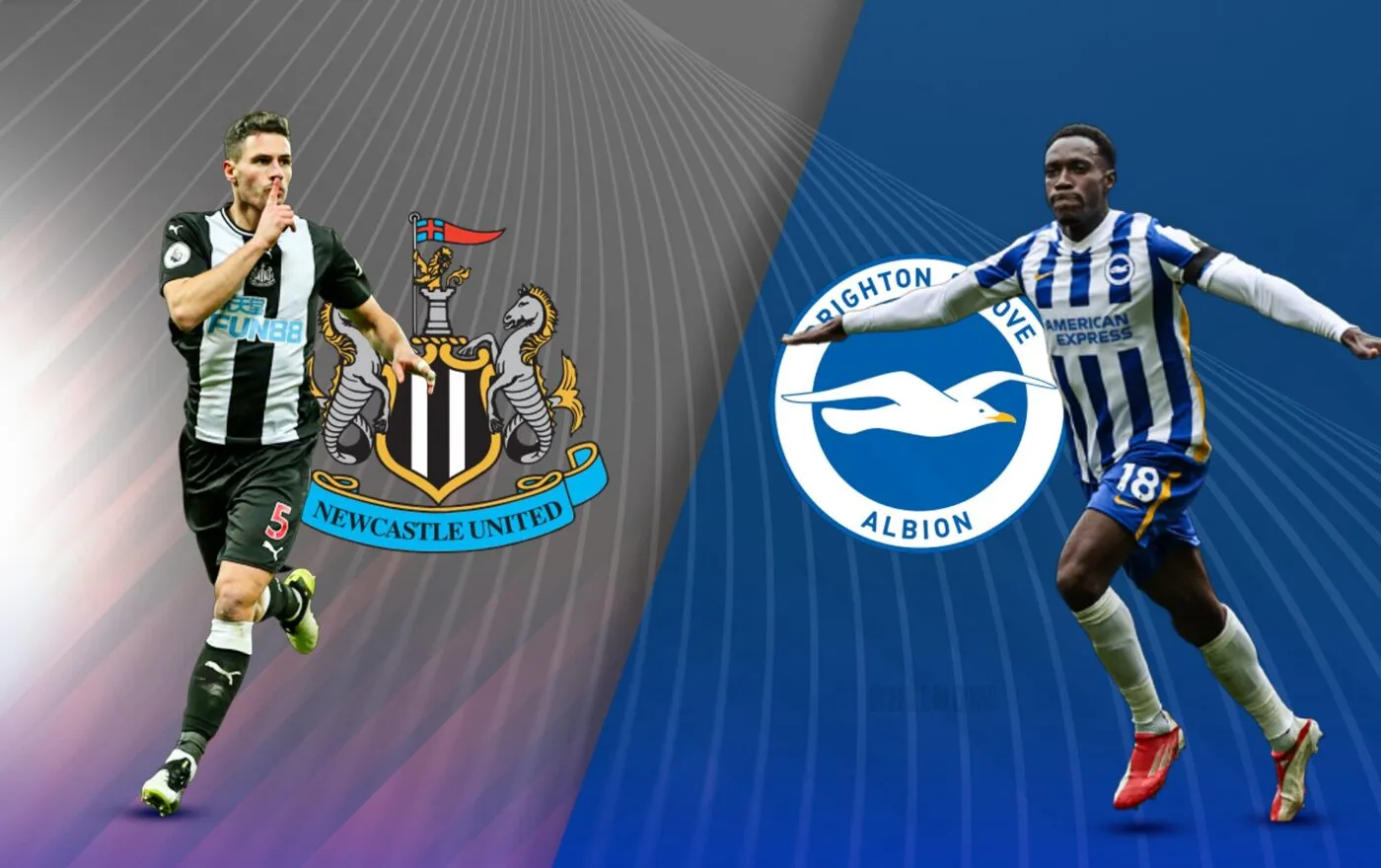 Nhận định Newcastle vs Brighton 21h00 ngày 19/10